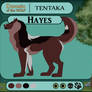 DotW|Hayes Application