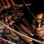 Wolverine Origins 07