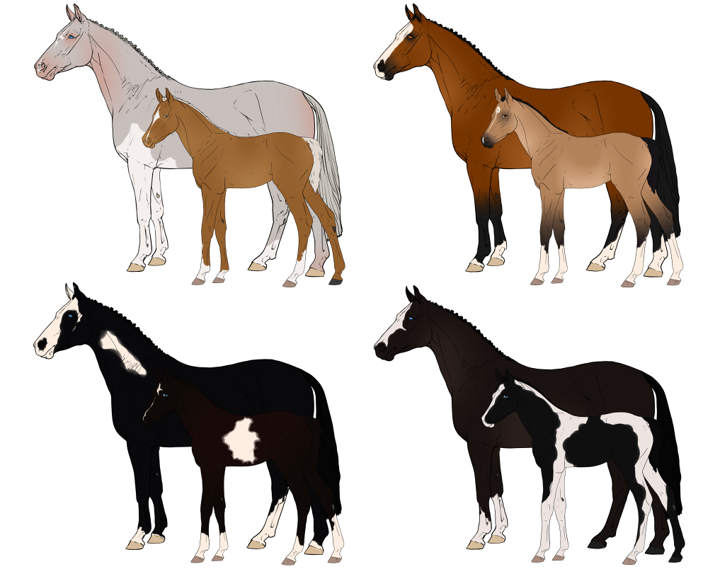 HIEF 4* Foal Lineage Sale - 3/4 OPEN - TB