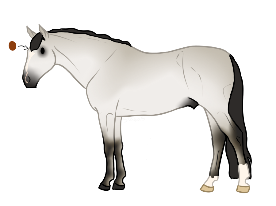 Horse Adopt 1 - CLOSED