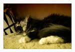 sleeping well by SawSomething