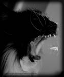 ...rrrrrau by SawSomething