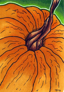 Pumpkin Closeup