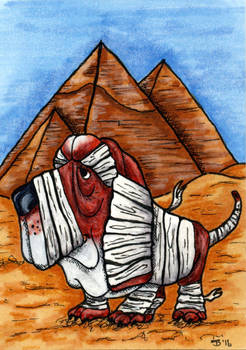 Rags Visits Giza