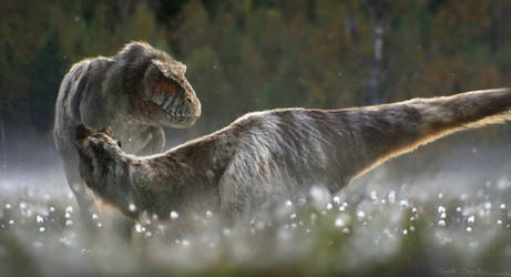 Gaelle-seguillon-nanuqsaurus-mating-display web