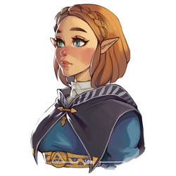 Princess Zelda - Breath of The Wild Sequel by TheArtOfVero