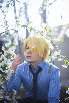 One Piece_Hanami photoshoot_3