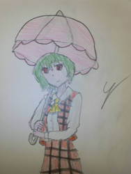 Yuuka Kazami (Color)