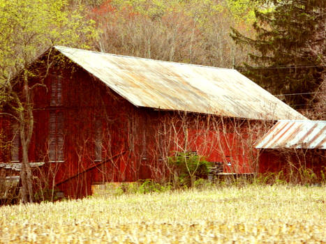 Barn