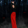 Dark Forest