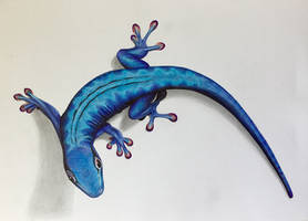 Blue Gecko - Ballpoint Pens