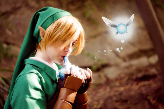 Link and navi