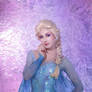 Elsa the Snow Queen of Arendelle
