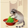 racoon