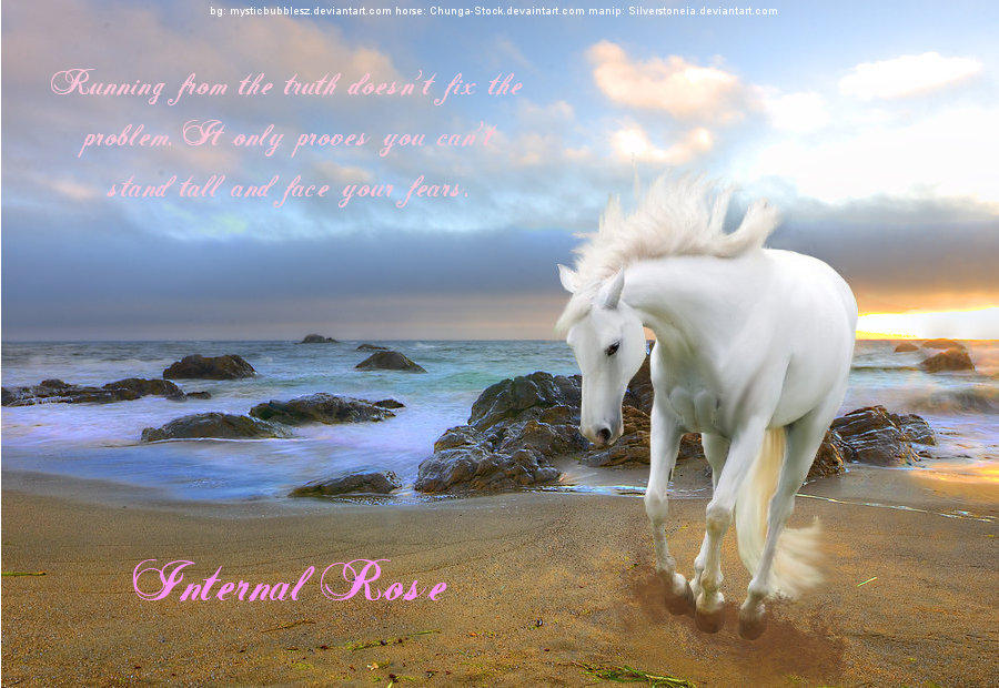 Internal Rose by silverthorne-studios on DeviantArt