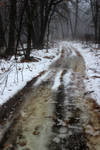 Flooded Footprints by silverthorne-studios