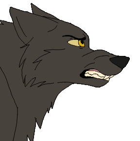 Wolf growling animation