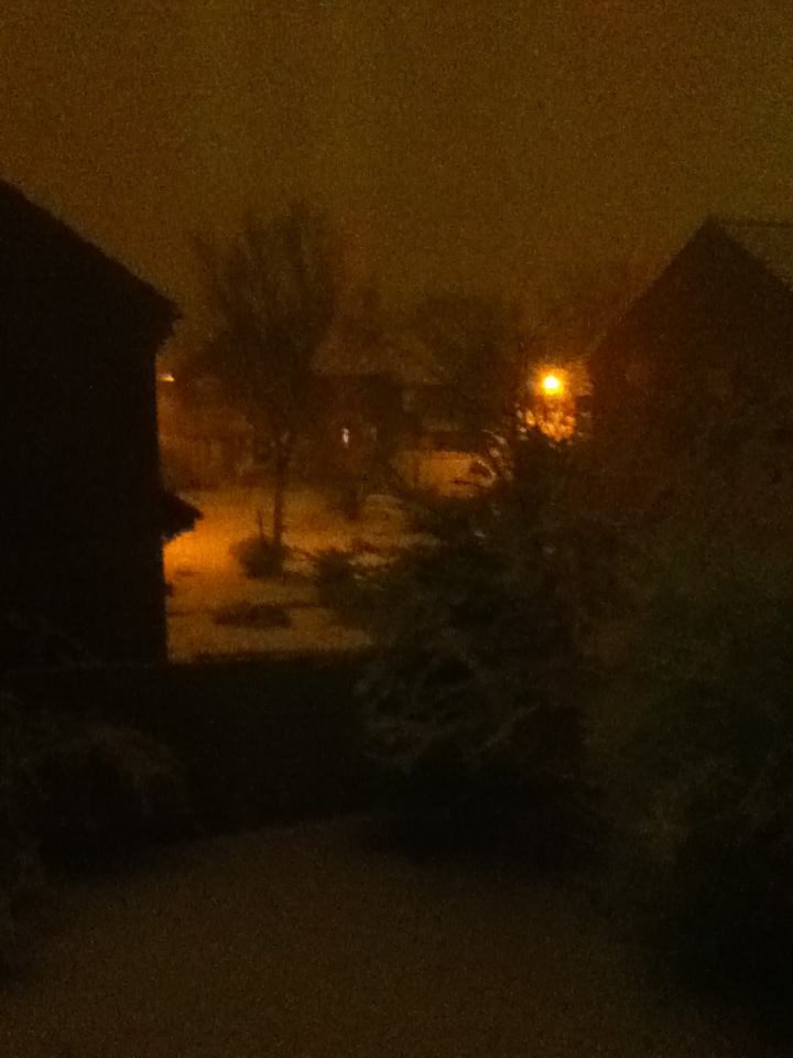 Snow Photo 5