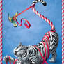 Candycane Tiger