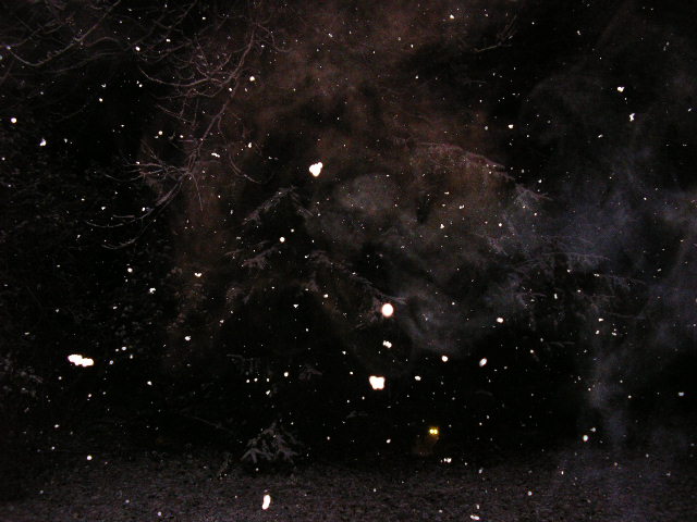 Snow like Stars