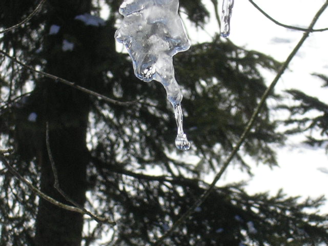 ice 3