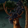 Padfoot and Prongs Close-up