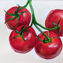 Sketchbook tomatoes