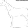 Standing Horse Lineart