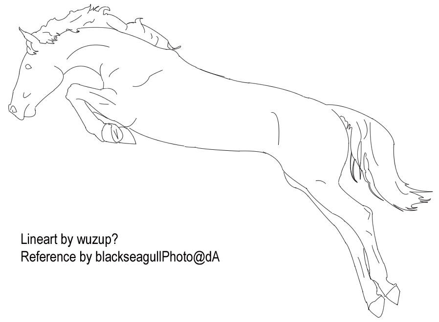 Jumping Horse Lineart by DeathlyLily on DeviantArt