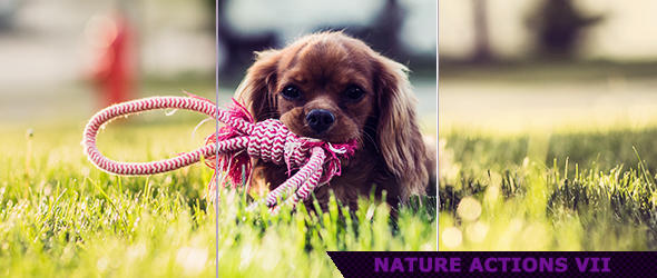 Nature Photoshop Actions for Photography 7