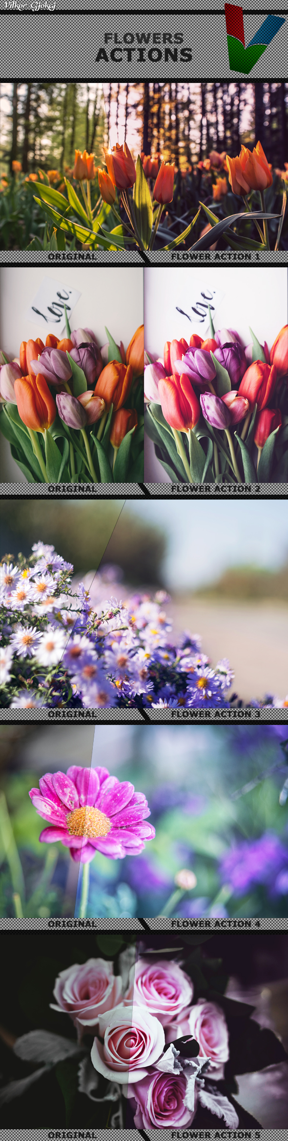Flower Actions 1
