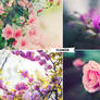 Flowers Photoshop Actions