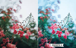 Light Presets 3