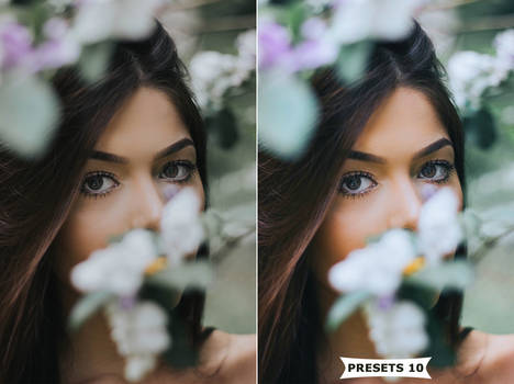 Beauty Preset 10