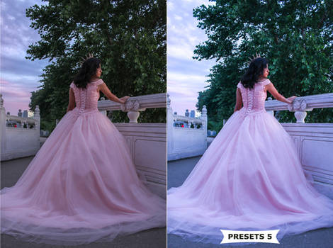 Wedding Preset 5