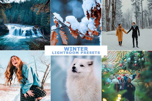 Winter Lightroom Presets