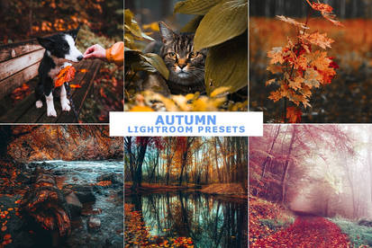 Autumn Lightroom Presets Download