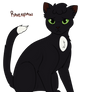 ravenpaw