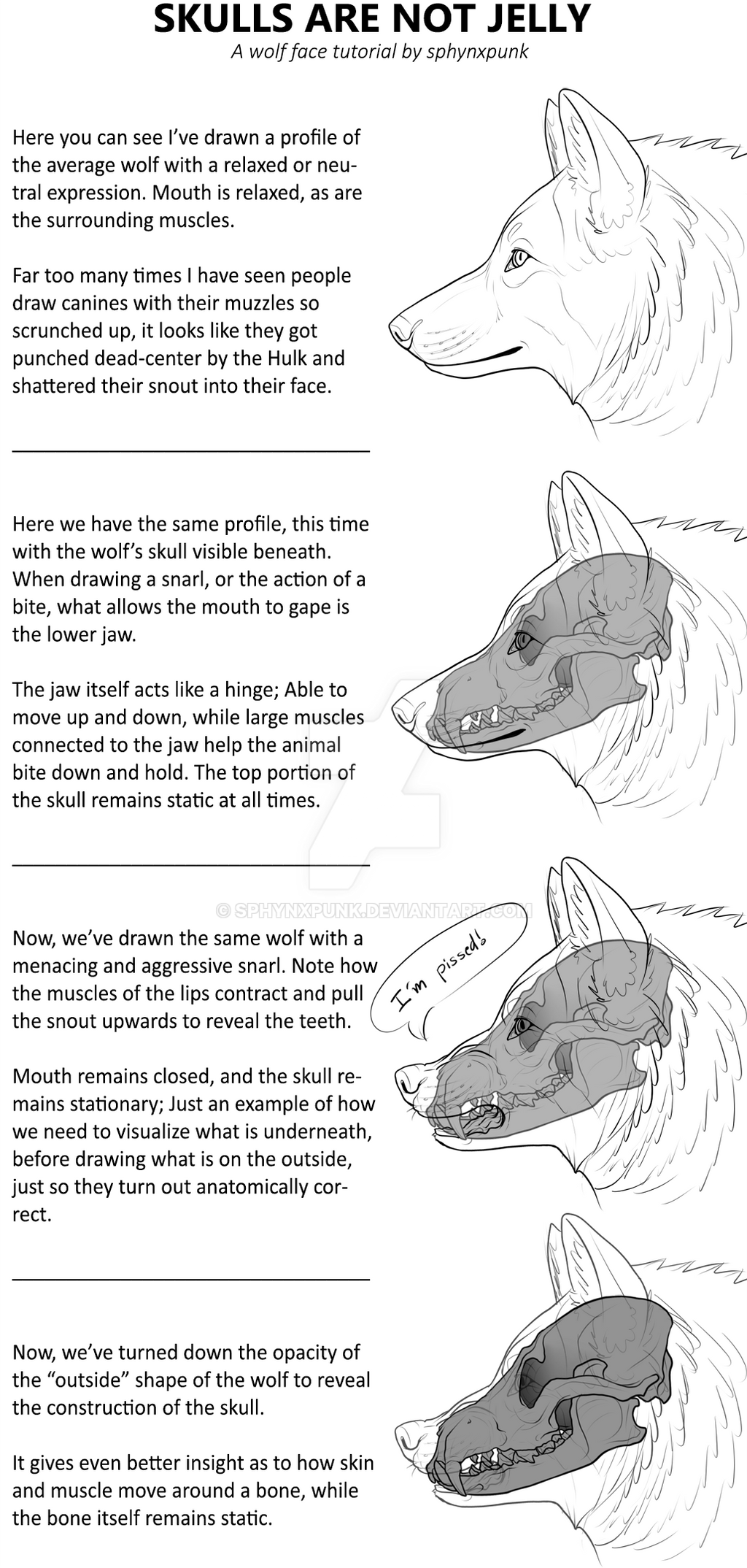 Canine head - Mini Tutorial: SKULLS ARE NOT JELLY!