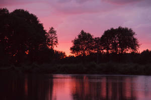 Lovely Lake