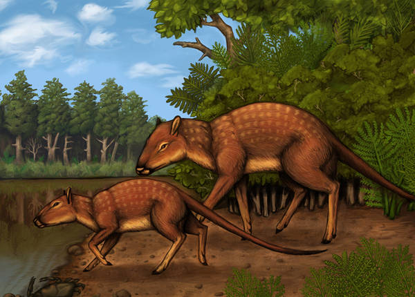 Indohyus by JacquelineRae