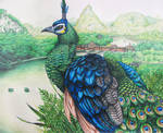 Green Peafowl by JacquelineRae