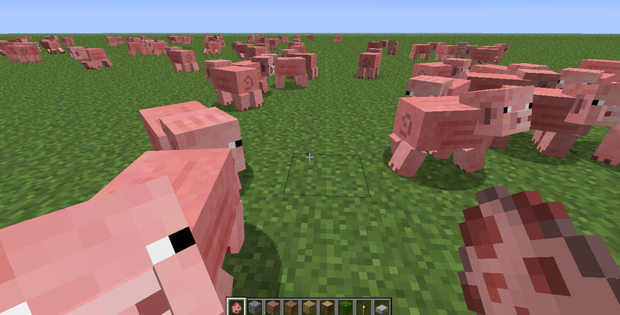 My Pig Army