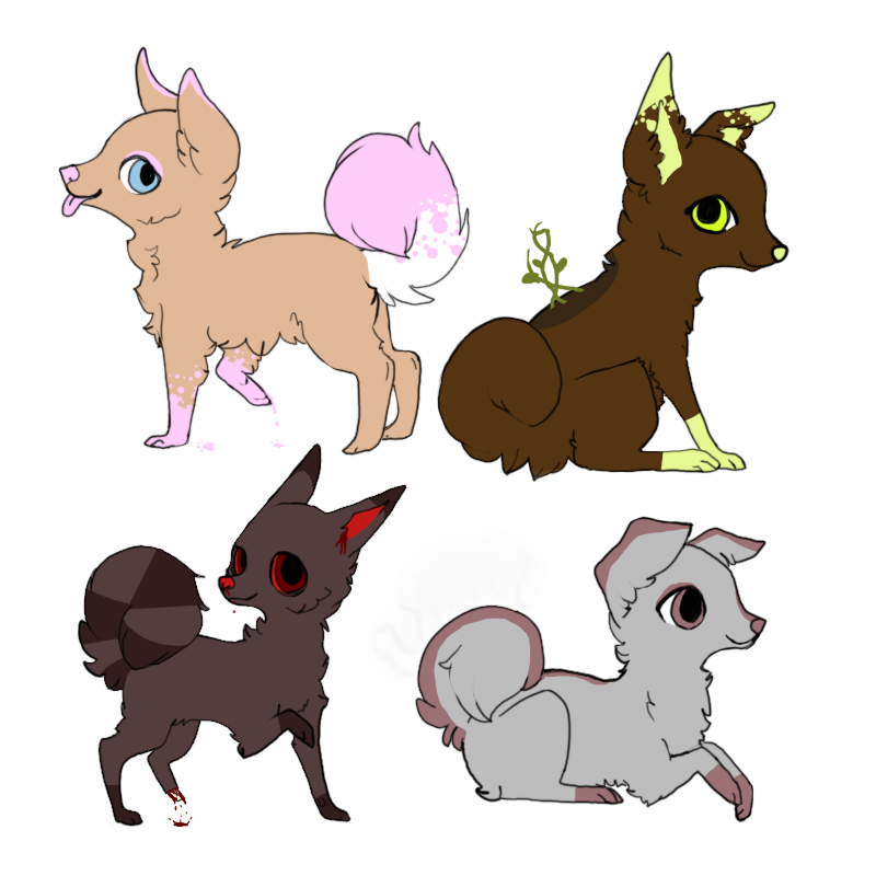 Dog Adoptables