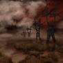 Wounded Sky