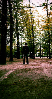 alone in the park