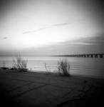 Sea Oats II by kateholden