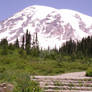 Mt. Rainier 2007