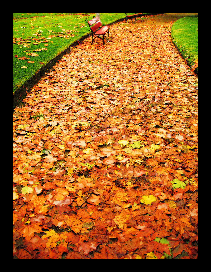 Follow The Yellow Brick Road