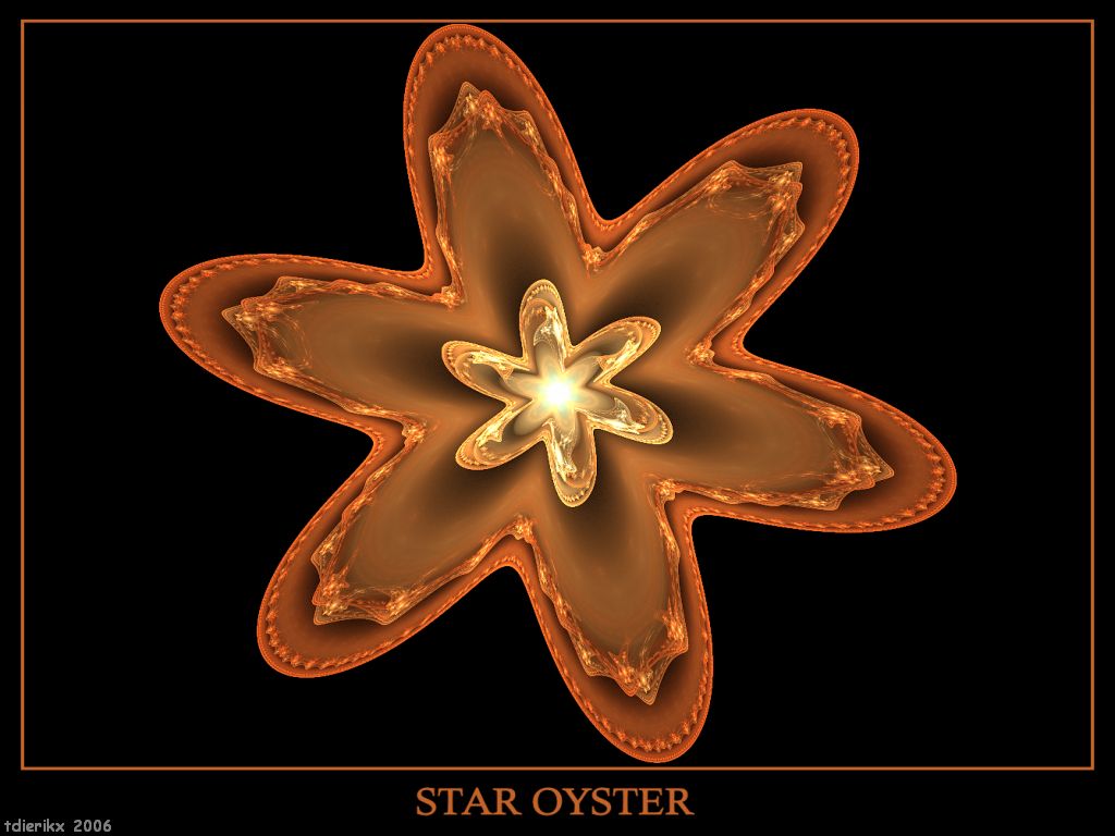 Star Oyster